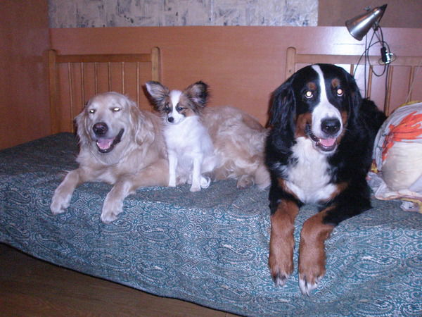 Лариса Каграманова