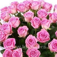 Алтынай Меноякова