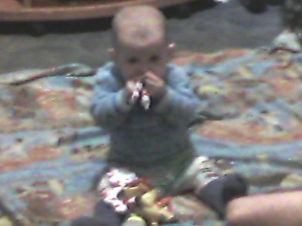 Мария Винявская