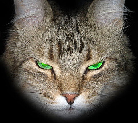 Валентина Valya