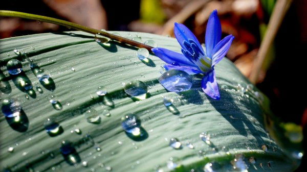 Елена Третьякова