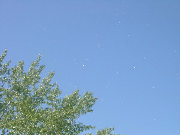 Имаш Мукашев