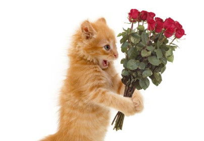 Андрей Нечаев