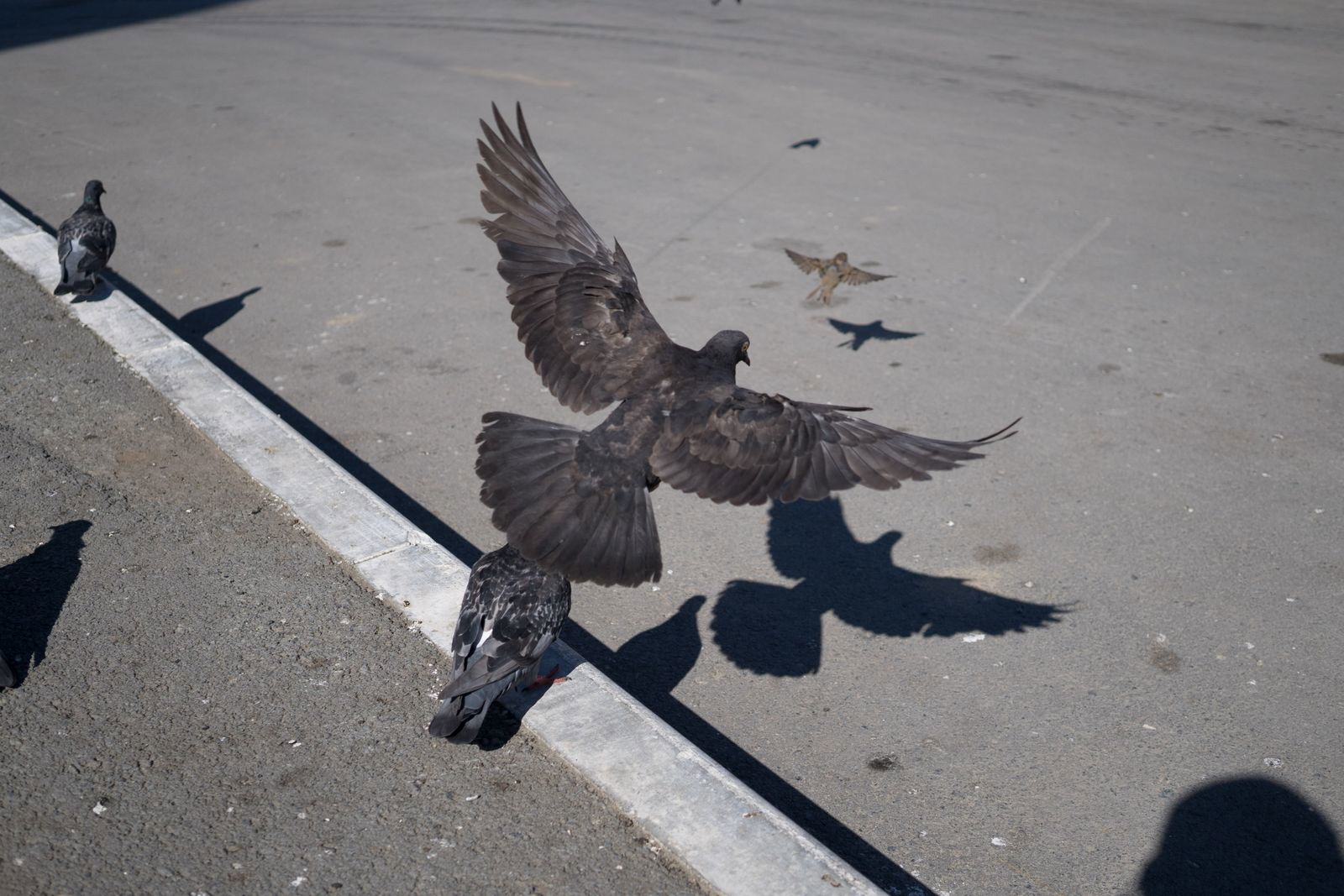 Алёна Ямзина