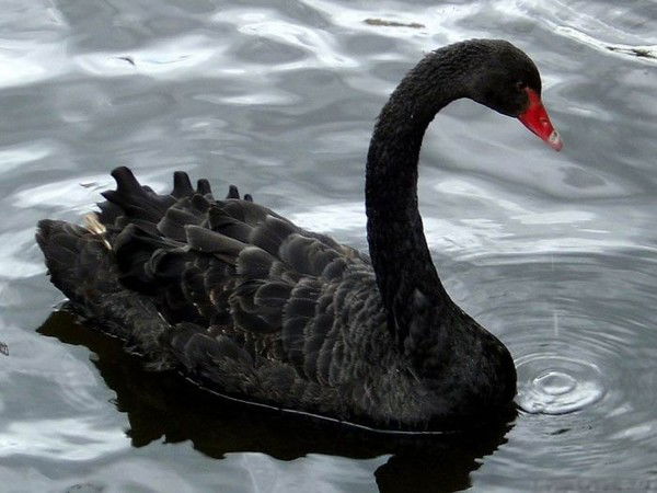 №2 Терект Орта Мектеб Кмм