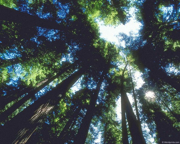 Марина Кононенко