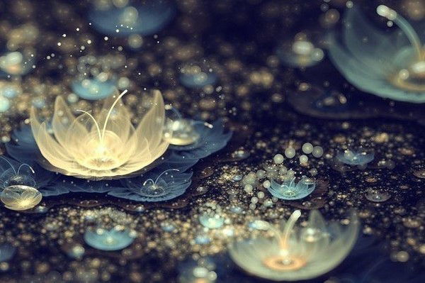 Тас-Фарм Тас-Фарм