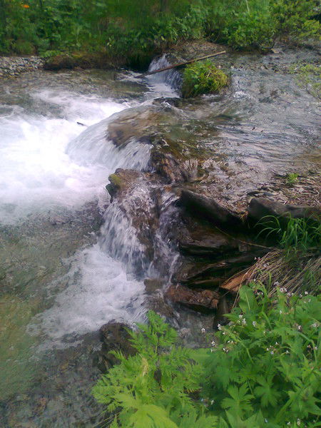 Галина Грушевская