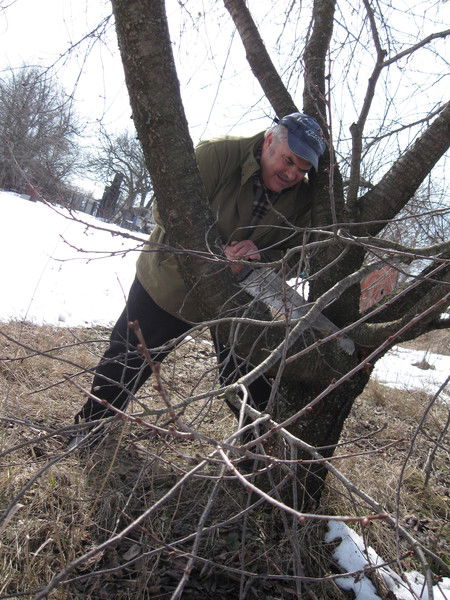 Михаил Тимофеев