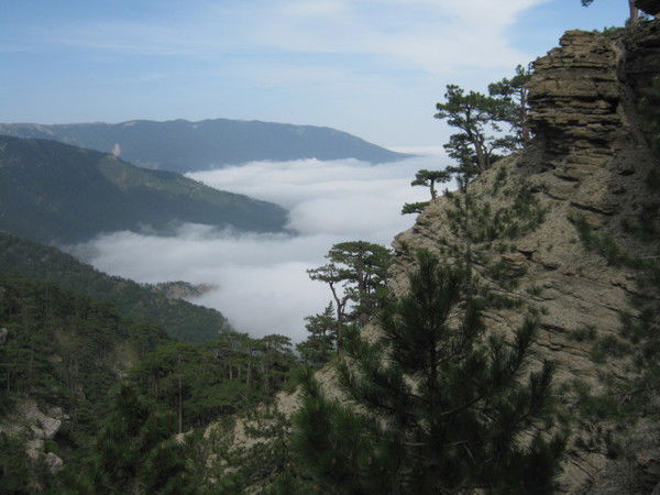 Галина Колоскова