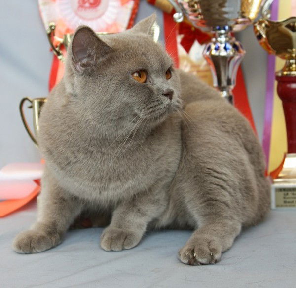 Наталья Янченко