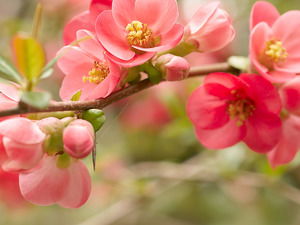 ♥♥♥Ангелина♥♥♥