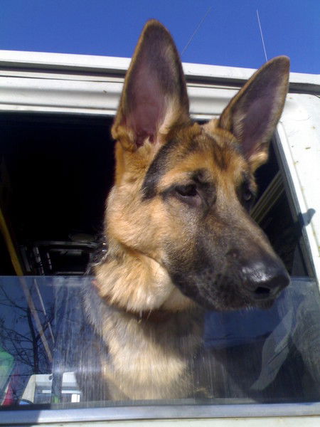 Евгений Олонин