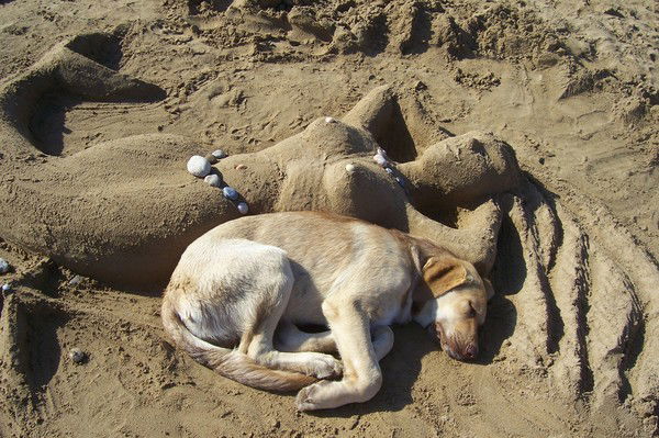 Анжелика Шадрина