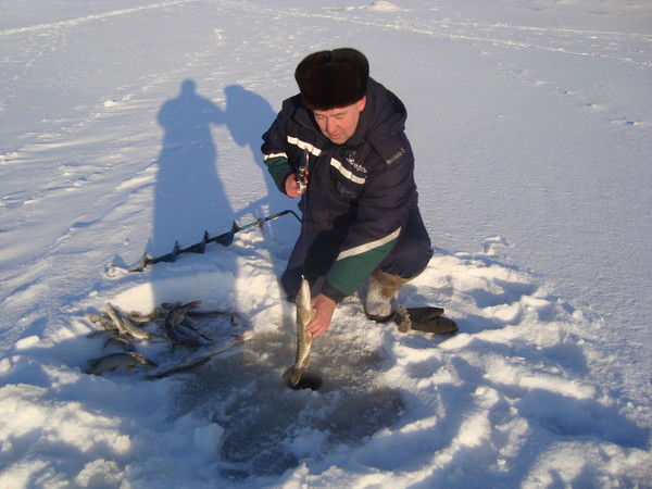 Сергей Булашев