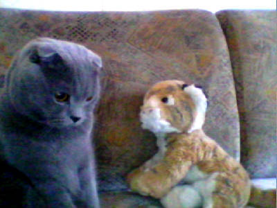 Кариночка :)