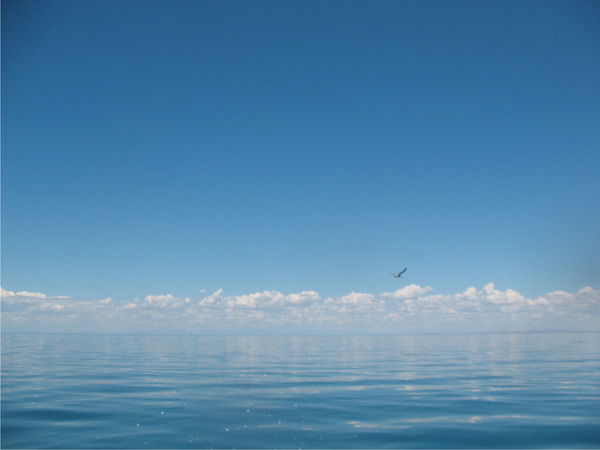 Ольга Ширяева