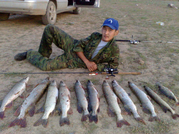 Арман Кунградбаев