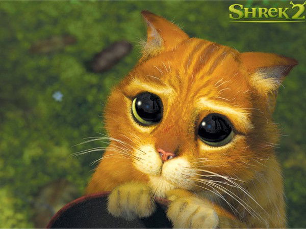 Дарья Савчина