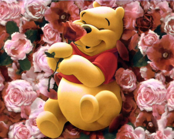 Татьяна Солодовникова