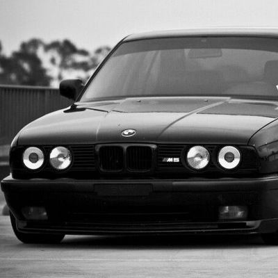 Алексей Горгоц