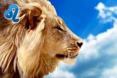 Марина Герасимова