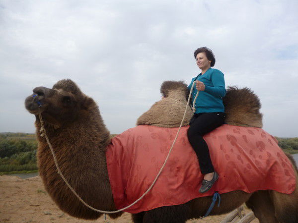 Светлана Майбородина