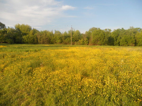 Наталья Корецкая