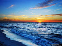 Маркова Татьяна