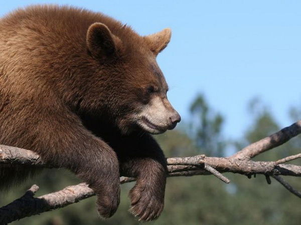 Миронов Станислав