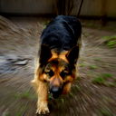 Павел Новиков