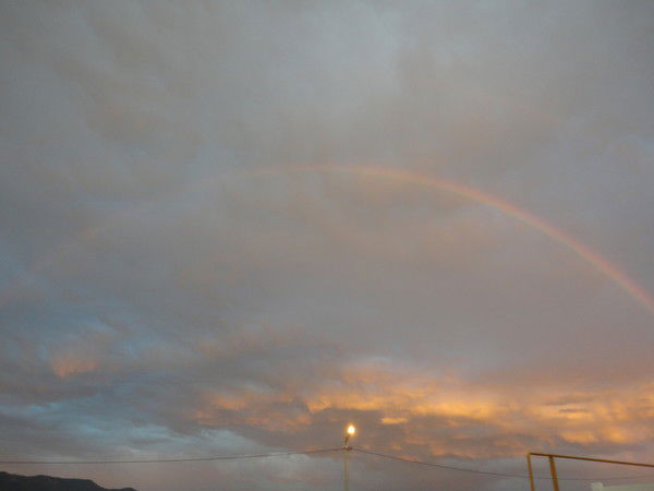 Алена Орлова