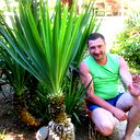 Andrey Kononov