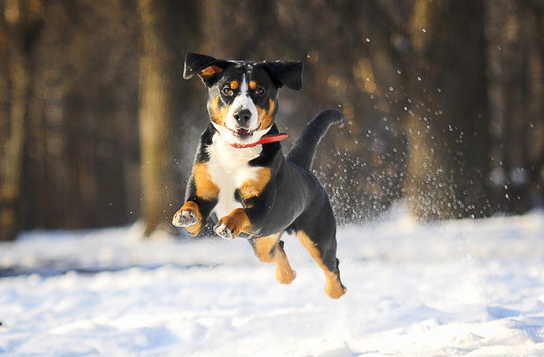 Алла Погудина