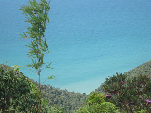 Асель Жолдасбекова