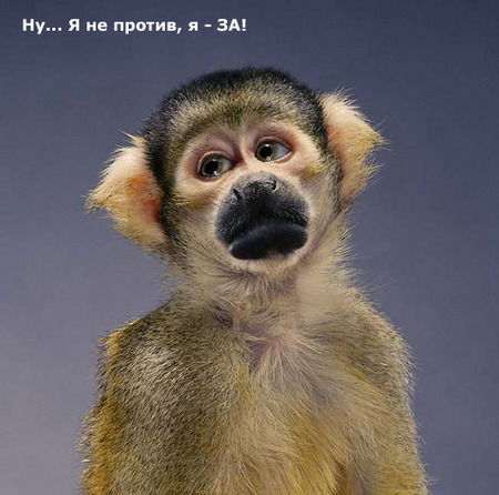 Натуся Туся