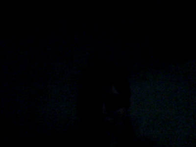 Наталья Семина