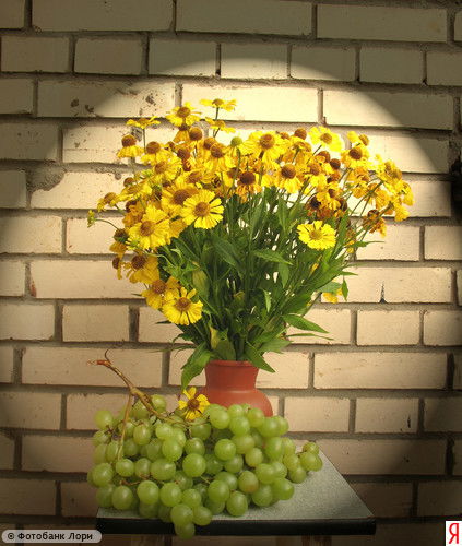 Валентина Саликова