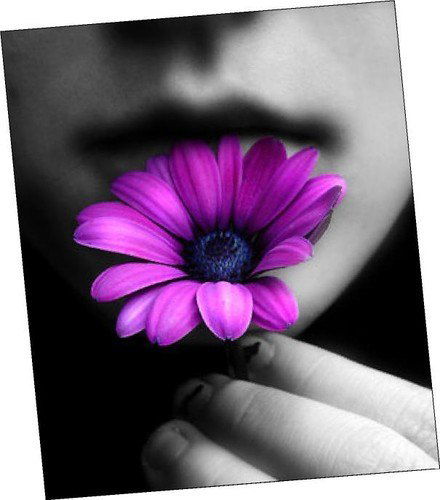 Людмила Осипова