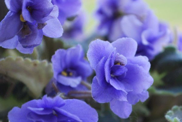 Наталья Кучугова