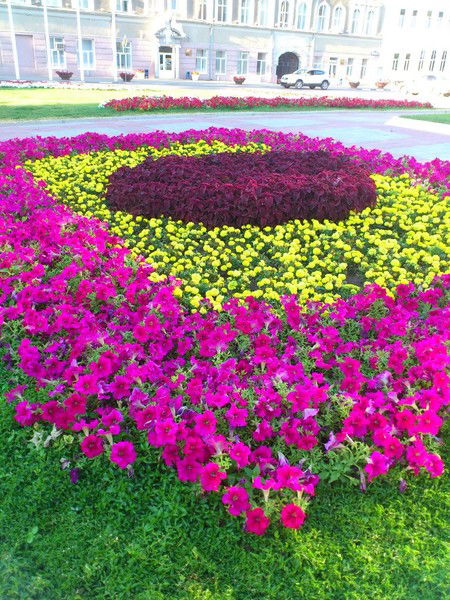 Nataly Бэггинс