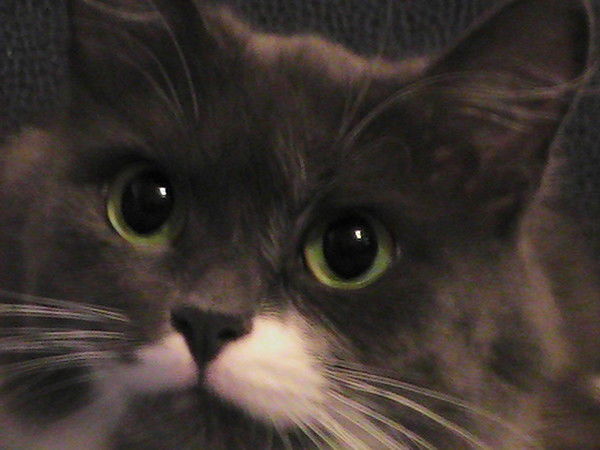 Татьяна Соловьева