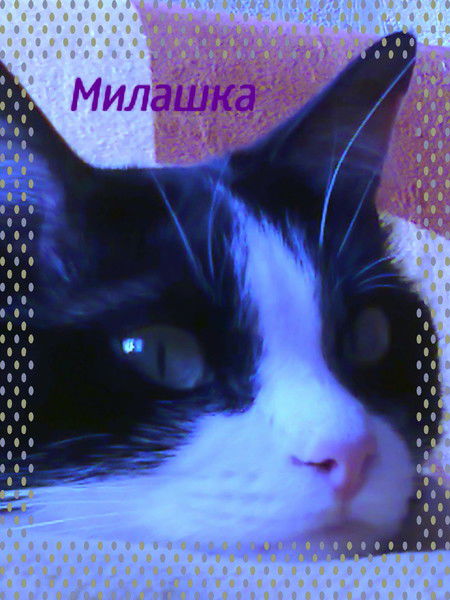 Наталия Новикова