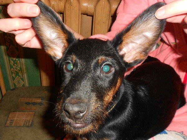 Сабрина Прохорычева