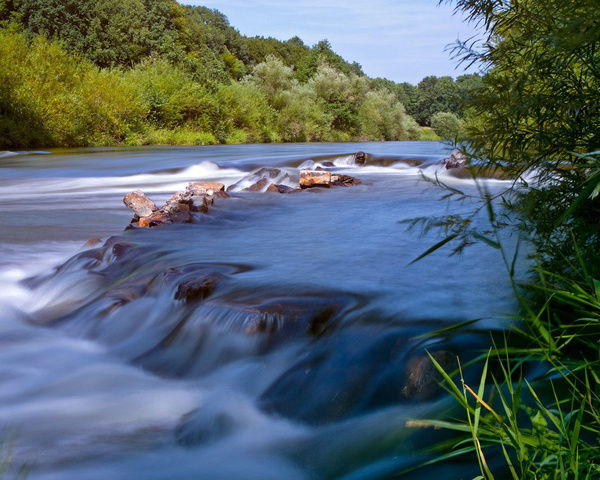 Саша Фамилия