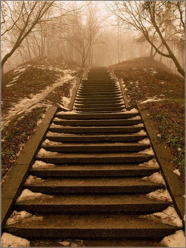 Людмила Мирошниченко