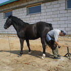 Хуф Триммер