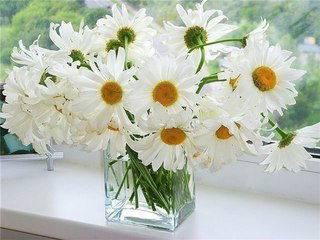 Алевтина Орлина