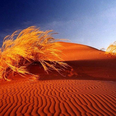 Канат Болатов