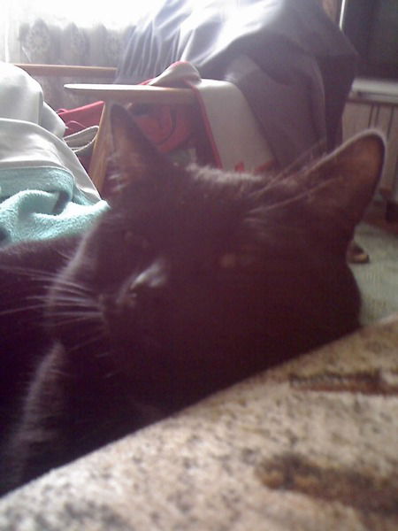 Сергей Ярков